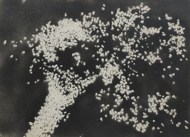franck gribling, Ontstaan van materie, 1960